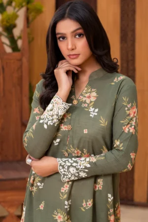 Citrus 2 Piece - Premium Embroidered Khaddar - 9352