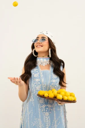 ANAYA LAWN-006 | 3 PC Lawn BY MAHNUR