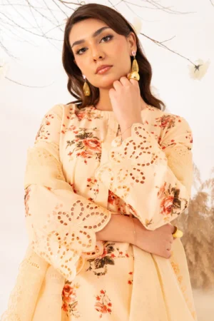 3 Piece - Premium Embroidered Lawn - 562 RTI