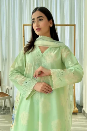 READY TO WEAR- Stitched 3 Piece - Embroidered Lawn - 548 - C