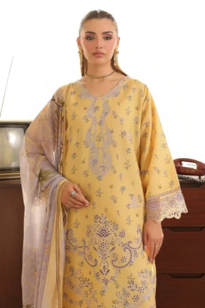 3 Piece - Embroidered Lawn Karandi - 3915